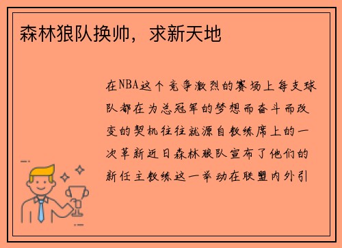 森林狼队换帅，求新天地