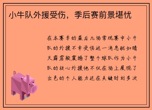 小牛队外援受伤，季后赛前景堪忧