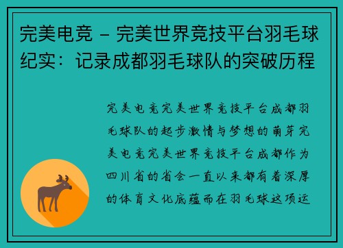 完美电竞 - 完美世界竞技平台羽毛球纪实：记录成都羽毛球队的突破历程